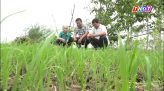 Toàn cảnh nông nghiệp - 15/06/2026: Đồng Tháp khai thác tiềm năng cây ăn trái để phát triển du lịch