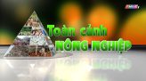 Toàn cảnh nông nghiệp - 02/9/2025: Đánh thức tiềm năng nông nghiệp xanh tại Tây Nguyên