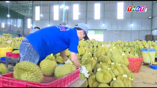 Thúc đẩy xuất khẩu nông sản bền vững trước các rào cản kỹ thuật