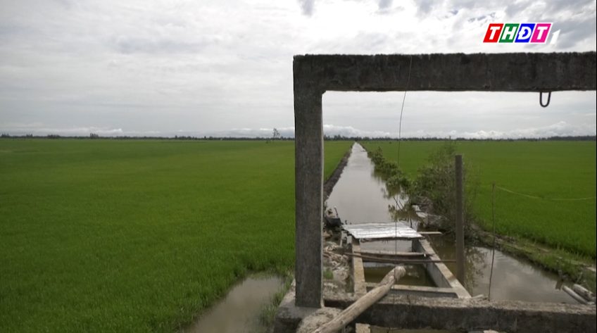 Xã Tam Nông: Lên kế hoạch xả lũ với diện tích hơn 1.780 ha