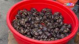 Từ ngày 28-9: Có thể nhận lương hưu, trợ cấp qua VNeID