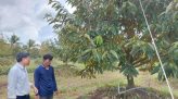Giá vàng ngày 18/9: Vàng miếng, vàng nhẫn bật tăng cả triệu đồng/lượng
