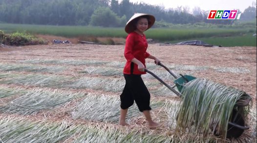 Toàn cảnh nông nghiệp - 30/04/2026: Giữ nhịp nghề quê bên vàm Nhựt Tảo