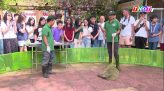 Thêm thu nhập từ hái bông điên điển mùa nước nổi