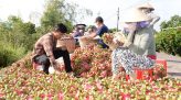 Đổ mồ hôi đầm đìa ban đêm - dấu hiệu cảnh báo ung thư
