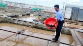 Tăng cường công tác bảo đảm an ninh, trật tự Lễ 19/8 và 02/9 năm 2026