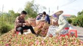 Bệnh lý tim mạch vẫn là nguyên nhân hàng đầu gây tử vong hiện nay