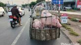 Đồng Tháp: Sơ kết 1 năm thực hiện Nghị quyết số 71 về đột phá phát triển giáo dục và đào tạo