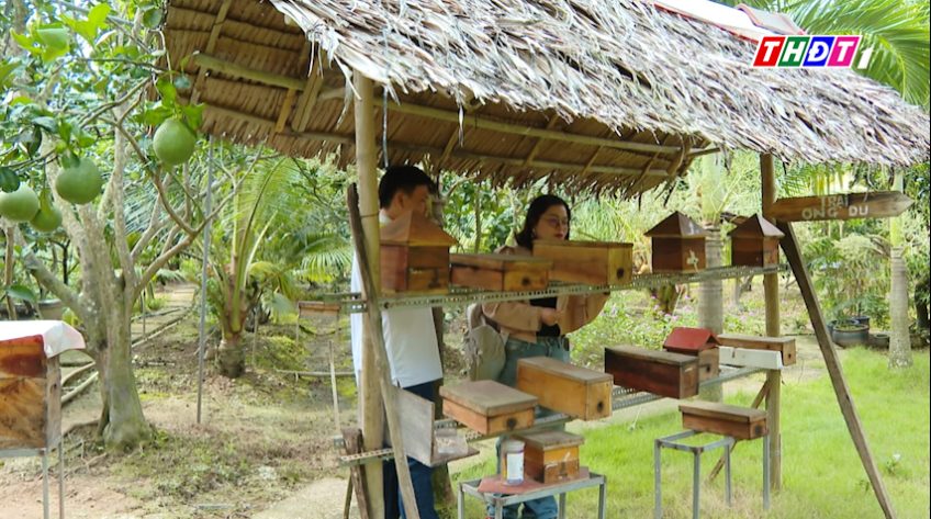 Khởi nghiệp từ nuôi ong dú trên cù lao Thới Sơn