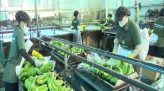 Cảnh giác với đồ ăn vặt trước cổng trường