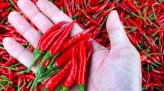 Bắt người đàn ông vừa mãn hạn tù lại tiếp tục làm tiền giả