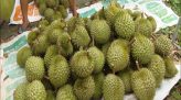 Cảnh giác với đồ ăn vặt trước cổng trường