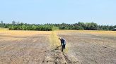Giá vàng ngày 15/10: Thế giới lấy lại đà tăng, trong nước đi ngang