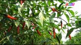Từ biết bơi đến biết tự bảo vệ mình