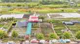 Lượng sách giáo khoa cung ứng đến tay người học đã đạt 99,75% nhu cầu