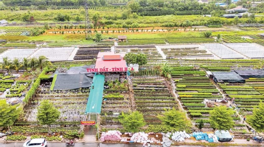 Nâng tầm di sản làng hoa Sa Đéc