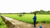Giá vàng, bạc trượt giảm không phanh