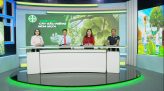 Cải cách hành chính - 30/06/2026: Triển khai Nghị quyết 31, đẩy nhanh xử lý nhà, đất dôi dư