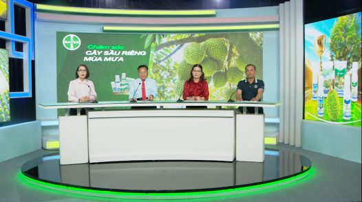 Tọa đàm khuyến nông - 30/06/2026: Chăm sóc cây sầu riêng mùa mưa