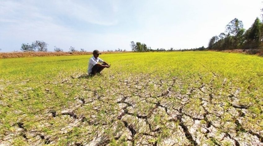 Xâm nhập mặn có thể lấn sâu tại Đồng bằng sông Cửu Long do tác động của El Nino