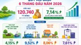 Lúa gạo Đồng Tháp thay đổi để thích ứng