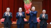 Giá vải không hạt Trung Quốc giảm một nửa