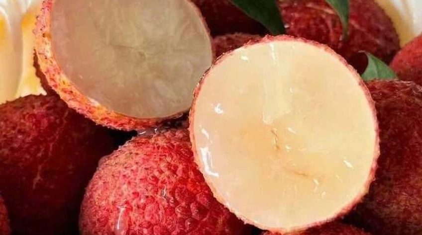 Giá vải không hạt Trung Quốc giảm một nửa