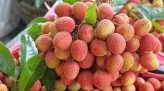 Bắc bộ mưa dông gia tăng, Nam bộ nắng nóng