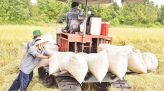 Đồng Tháp phát triển chuỗi giá trị sầu riêng bền vững và phát thải thấp