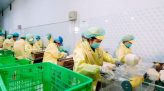 Cần bảo vệ học sinh, sinh viên khỏi tác hại rượu, bia