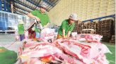 Mỗi năm người Việt chi hơn 100.000 tỷ đồng mua vé số