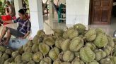 Nhật Bản: Báo động tình trạng trẻ vị thành niên trở thành thủ phạm quay lén