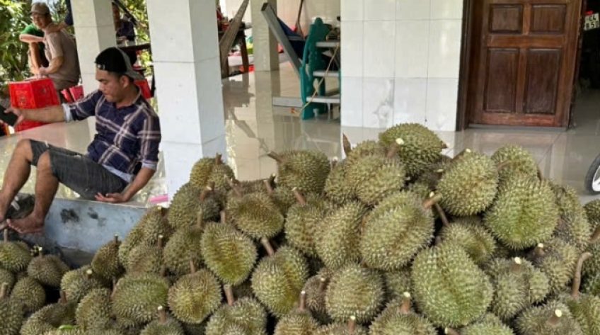 Sầu riêng và thanh long rớt giá