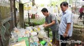Viện kiểm sát nhân dân khu vực 3: Kiến nghị xử lý tình trạng chăn dắt, ép trẻ em ăn xin
