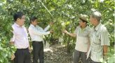 Mỗi năm người Việt chi hơn 100.000 tỷ đồng mua vé số