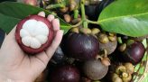 Bác sĩ cảnh báo dấu hiệu bệnh thận dễ bị bỏ qua
