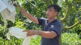 Thời tiết ngày 19/10: Bắc Bộ ngày nắng, Nam Bộ có mưa rào