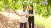 Cà Mau nỗ lực phát triển ngành hàng lúa gạo