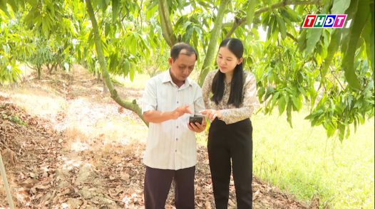 Mỹ Ngãi đưa nông sản vào 