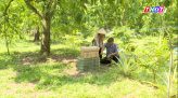 Thi tốt nghiệp THPT: Dự kiến dùng AI hỗ trợ xây dựng ngân hàng câu hỏi thi