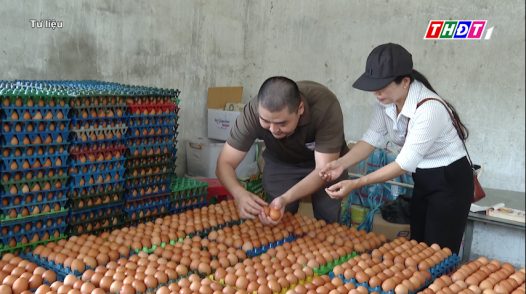 Trứng gà tăng giá trở lại