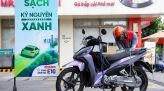 Nông dân Cần Thơ thu tiền tỷ từ trồng nhãn xuất khẩu sang thị trường khó tính