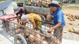 Đồng Tháp: Dự báo tiếp tục có mưa lớn trên diện rộng