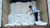 Dự kiến có 11 thí sinh chuyên Tuyên Quang đỗ đại học Y Hà Nội