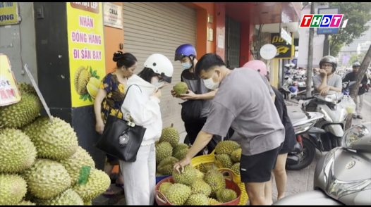 23.000 trái sầu riêng 