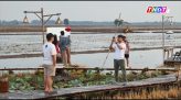 Máy cuộn lụt bình: Biến vấn nạn môi trường thành tài nguyên xanh
