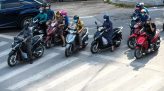 Đồng Tháp tập trung quảng bá hình ảnh ra nước ngoài