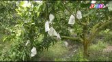 Xuất hiện áp thấp nhiệt đới trên Biển Đông