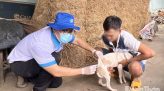Giá vàng hôm nay (25-8): Tăng sốc