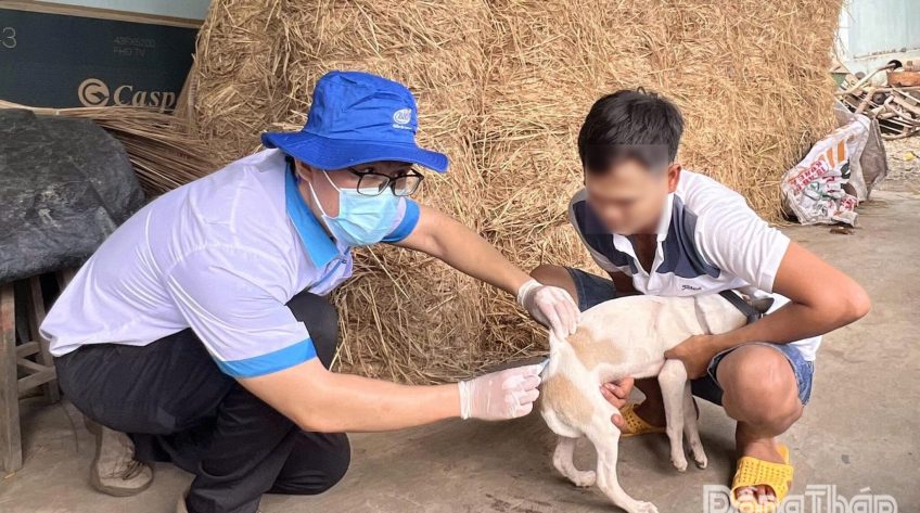 Đồng Tháp: Cảnh báo từ ca tử vong do bệnh dại ở bé gái 4 tuổi